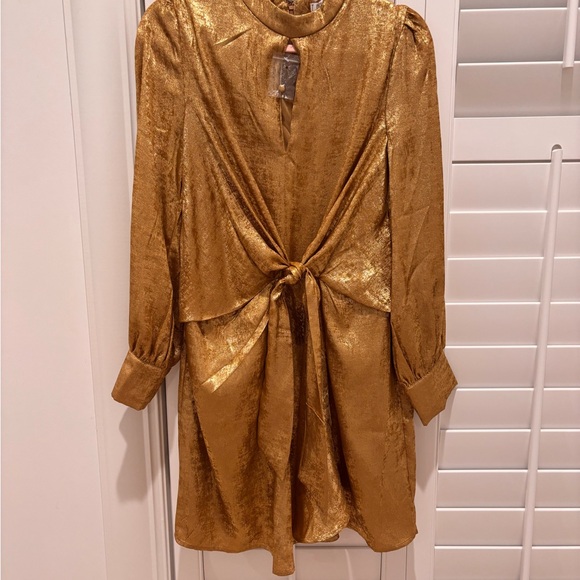 TCEC Shimmering Gold Long Sleeve Dress NWT Size Large - Picture 4 of 6